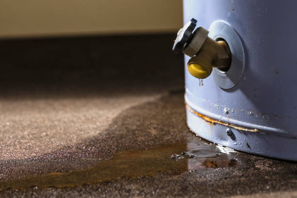 Best Water damage restoration experts  in San Andreas, CA
