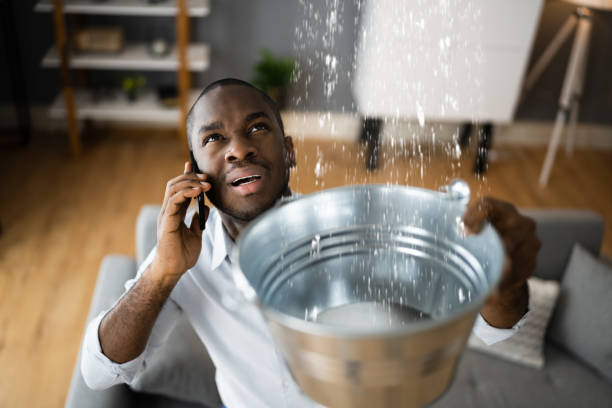 Best Water damage contractors near me  in San Andreas, CA