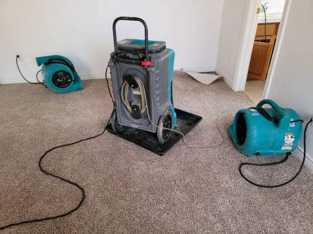 Best Flood damage cleanup  in San Andreas, CA