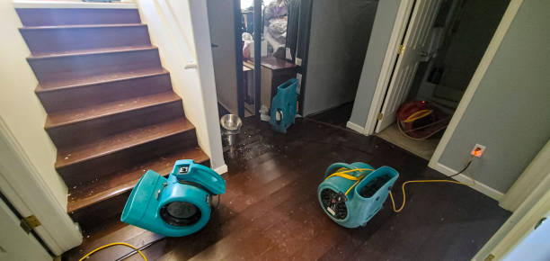 Best Ceiling water damage repair  in San Andreas, CA