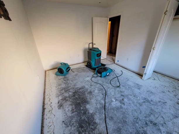 Best Local water damage restoration  in San Andreas, CA