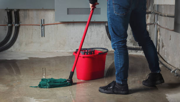 Best Mold removal after water damage  in San Andreas, CA