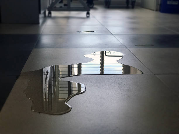 Best Carpet water damage restoration  in San Andreas, CA