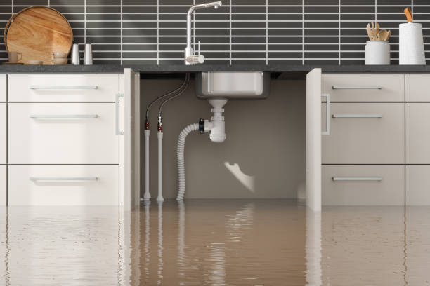Best Flood restoration services  in San Andreas, CA