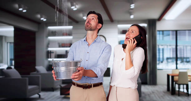 Best Commercial water damage restoration  in San Andreas, CA