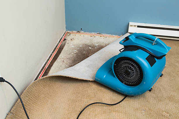 Best Water damage restoration near me  in San Andreas, CA